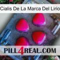 Lily Brand Cialis 13